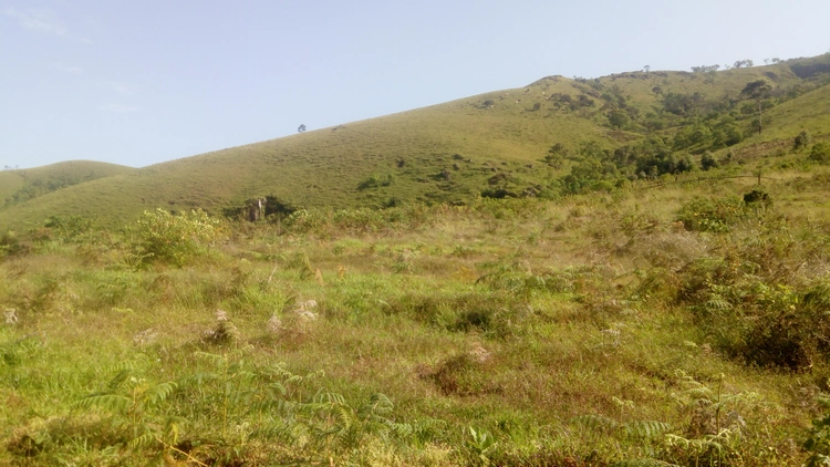 Nkà Hilltop